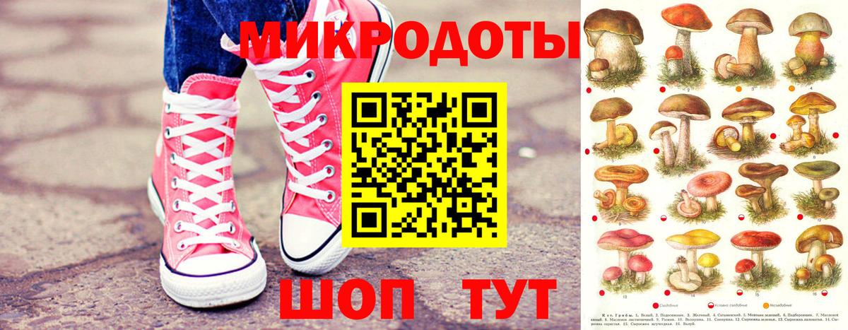 Псилоцибиновые грибы прущие грибы Узловая
